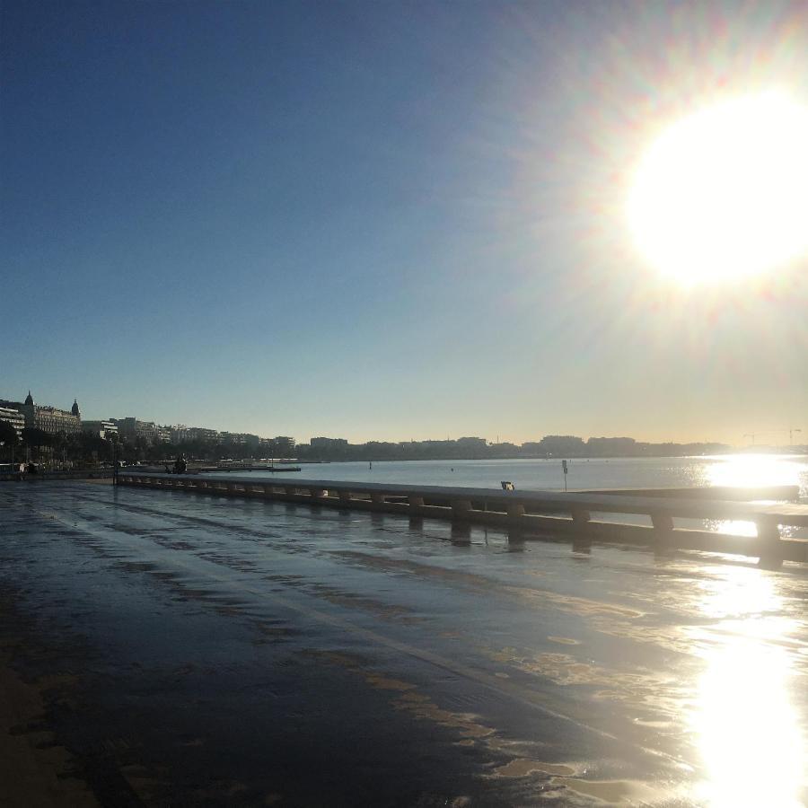 T2 Proche De La Gare, A 10 Minutes A Pieds De La Croisette, Piscine & Parking Dans Residence De Haut Standing Cannes Buitenkant foto